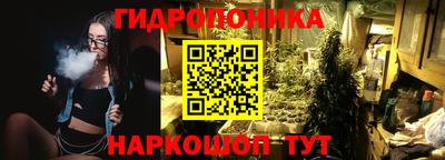 молекула духа Славянск-на-Кубани