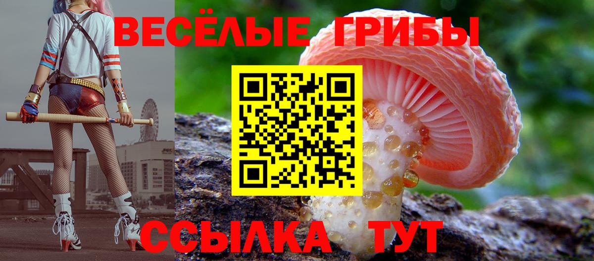 Галлюциногенные грибы Cubensis  Галлюциногенные грибы мухоморы  Новотроицк  Вход с VPN 